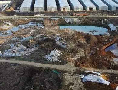 铅锌矿场地污染土修复